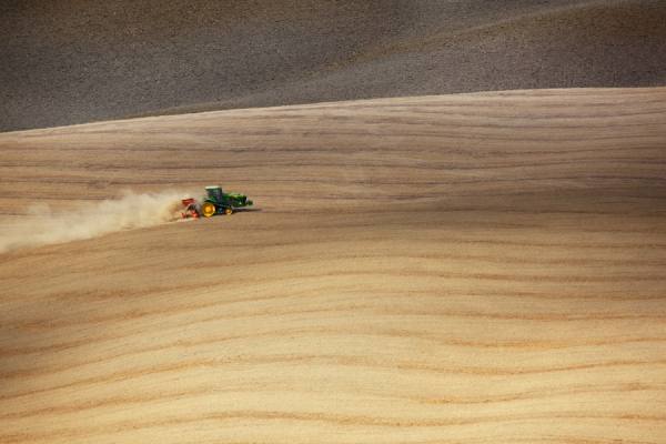 Photograph Della Latta Massimo  Il Trattore on One Eyeland